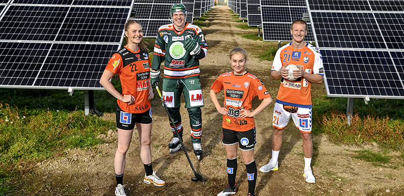 Fyra elitspelare i handboll, hockey och fotboll poserar i C4 Energis solcellspark Solpunkten. 